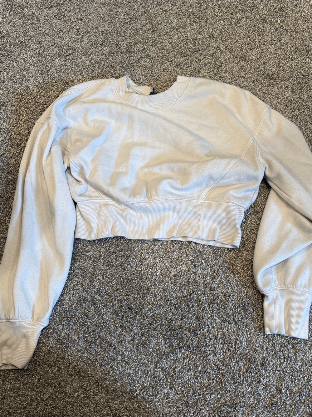 Wild Fable Cropped Long-Sleeve Sweatshirt Beige